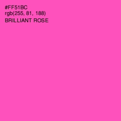 #FF51BC - Brilliant Rose Color Image